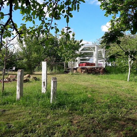 Glashaus Sternblick, Schlafen unterm Sternenhimmel Neustadt am Kulm Exterior foto