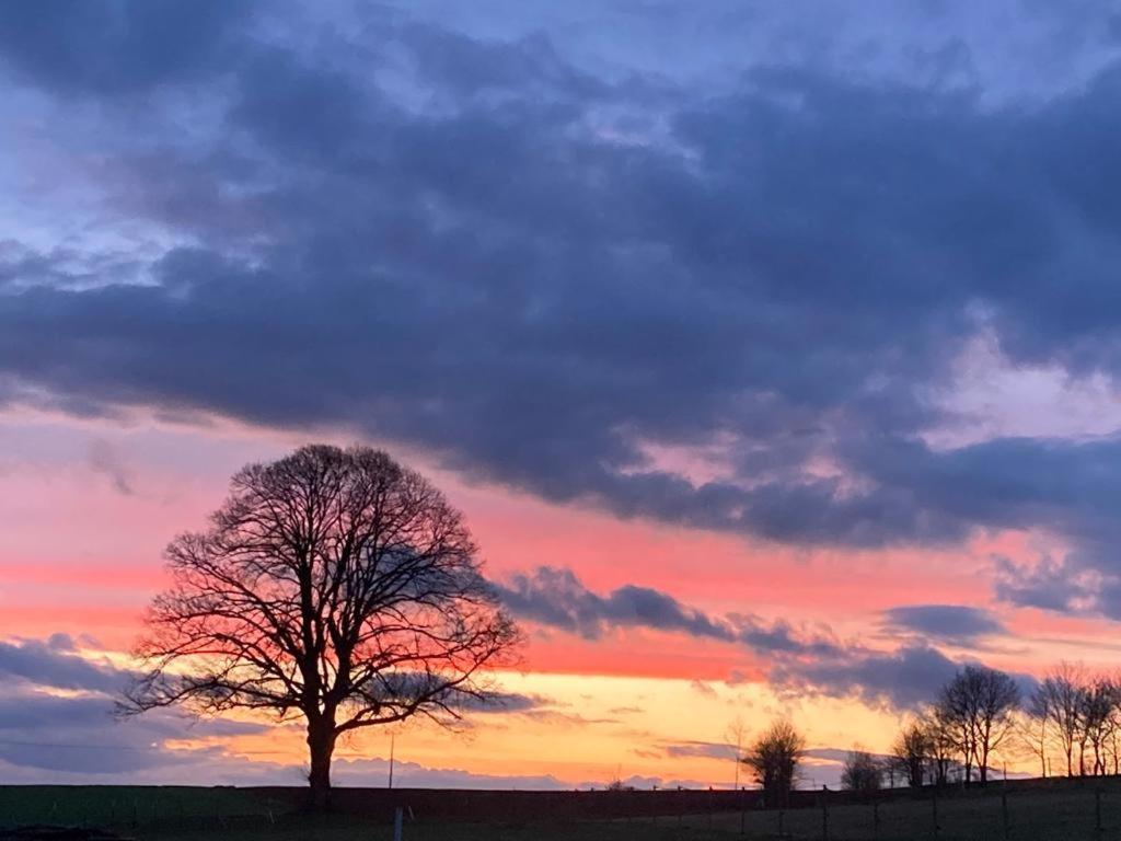 Glashaus Sternblick, Schlafen unterm Sternenhimmel Neustadt am Kulm Exterior foto